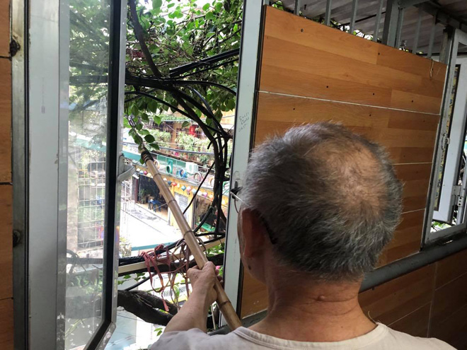 Ngắm ngôi nhà hoa giấy “vạn người mê” độc nhất ở Hà Nội - 5