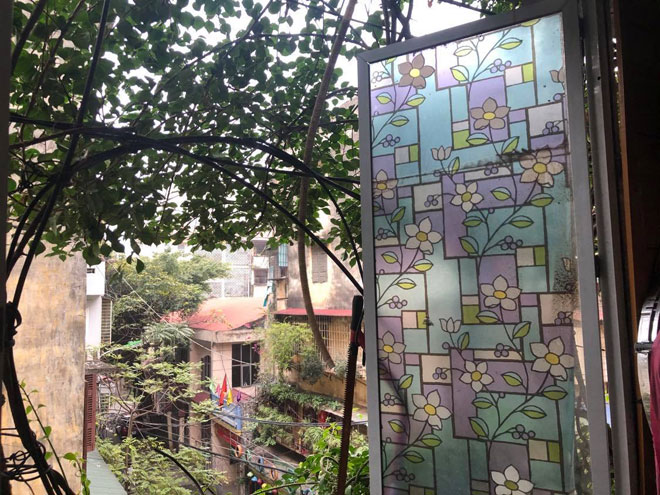 Ngắm ngôi nhà hoa giấy “vạn người mê” độc nhất ở Hà Nội - 7