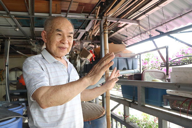 Ngắm ngôi nhà hoa giấy “vạn người mê” độc nhất ở Hà Nội - 8