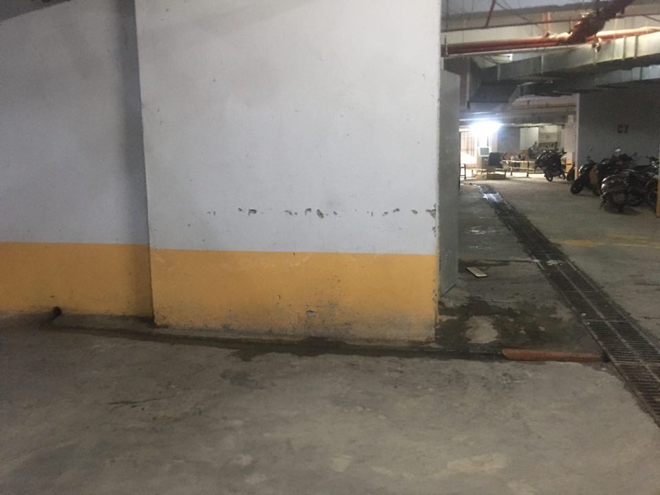 Rùng mình với cảnh tượng bẩn khủng khiếp trong hầm chung cư giữa Hà Nội - 1