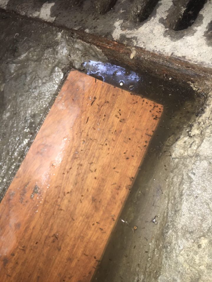 Rùng mình với cảnh tượng bẩn khủng khiếp trong hầm chung cư giữa Hà Nội - 3