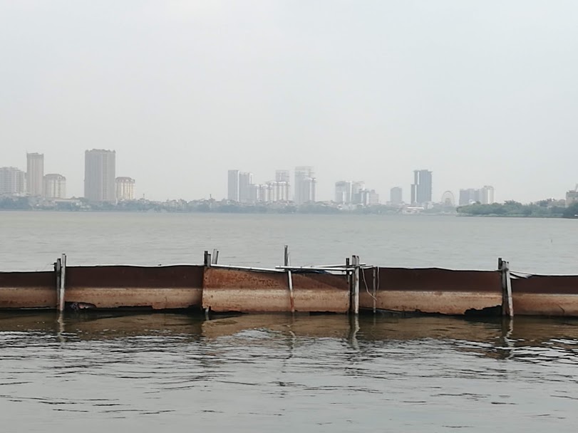 Sau 1 năm thí điểm “bảo bối” của Nhật, đàn cá Koi ở Hồ Tây giờ ra sao? - 2