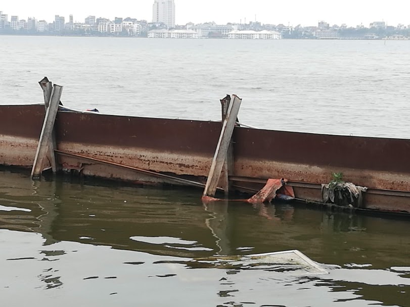 Sau 1 năm thí điểm “bảo bối” của Nhật, đàn cá Koi ở Hồ Tây giờ ra sao? - 3