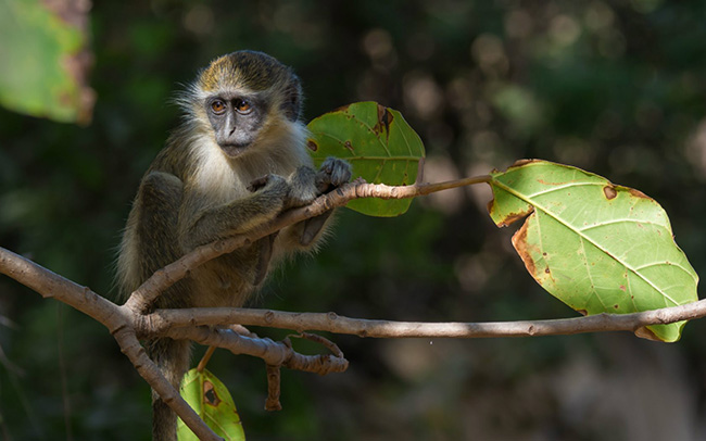 Top điểm du lịch rẻ nhất cho những người kinh tế eo hẹp - 11