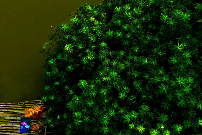 Ngỡ ngàng vẻ đẹp mới lạ của Phú Yên - 3