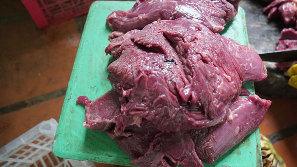 Tận thấy người nuôi mãnh thú vuốt ve, “mát xa” cho sư tử - 12