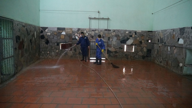 Tận thấy người nuôi mãnh thú vuốt ve, “mát xa” cho sư tử - 13