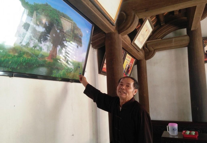 "Cụ" cây sống qua 10 thế kỷ ở làng Bình Đà có gì đặc biệt? - 2