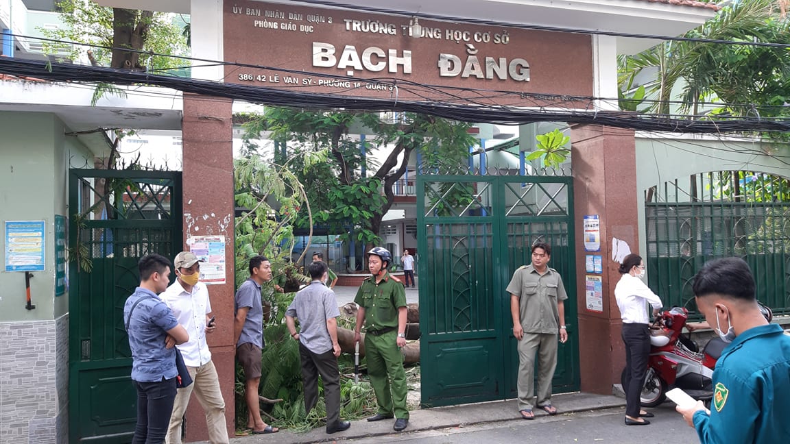 TP.HCM: Cây phượng cổ thụ bật gốc đè nhiều học sinh trong sân trường, 1 em tử vong - 2