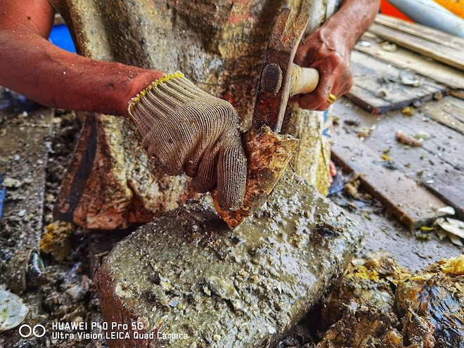 Khám phá cuộc sống và ẩm thực Làng bè Long Sơn - 7