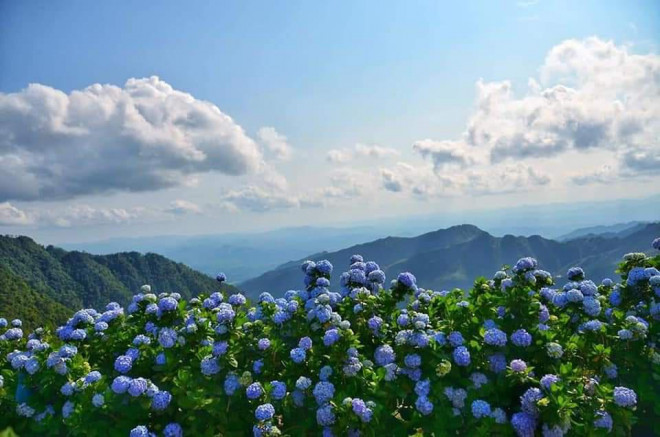 Có một Đà Lạt trên đỉnh Mẫu Sơn - 2