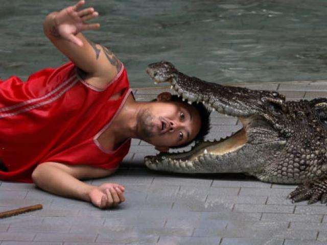 Du lịch - Du khách hết hồn khi tới trang trại cá sấu lớn nhất Thái Lan