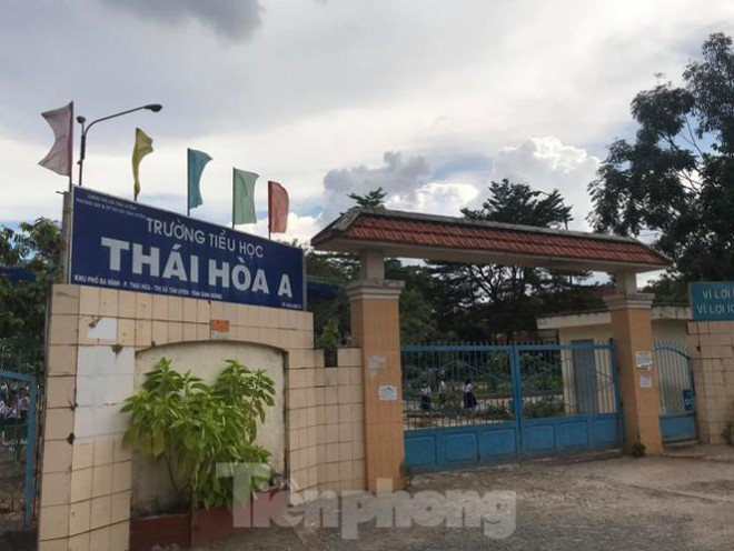 Thêm cây phượng bất ngờ bật gốc, trường tiểu học hú vía - 4