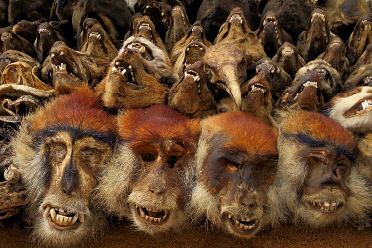 Du khách hãi hùng khi ghé chợ xương lớn nhất thế giới - 7