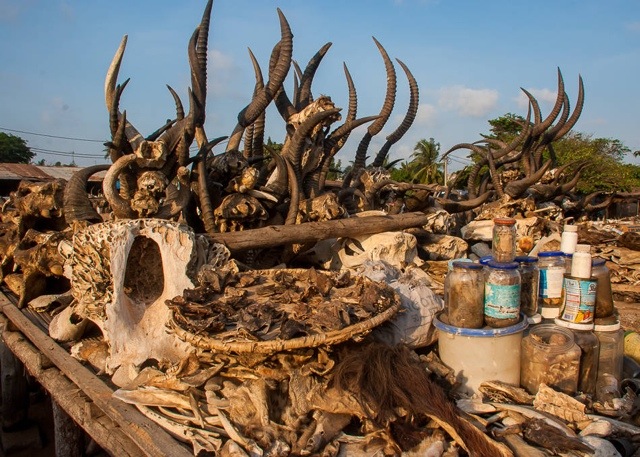 Du khách hãi hùng khi ghé chợ xương lớn nhất thế giới - 4