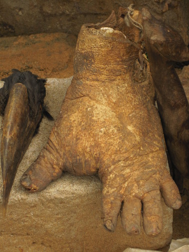 Du khách hãi hùng khi ghé chợ xương lớn nhất thế giới - 5