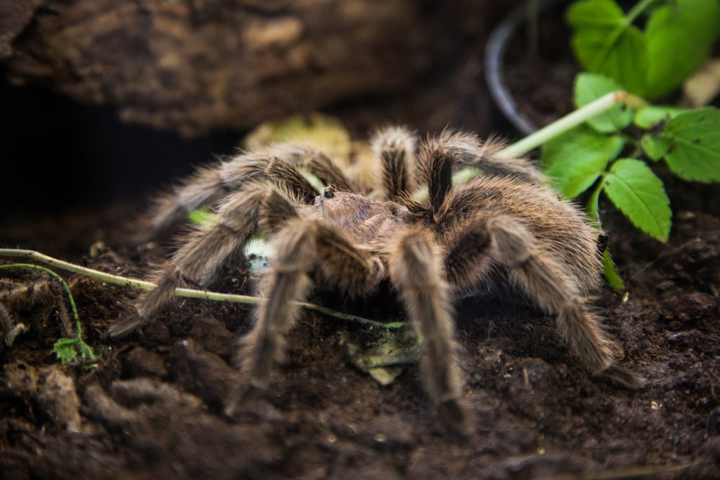 Bạn nhất định phải đến những nơi này ở Campuchia trước 30 tuổi - 2