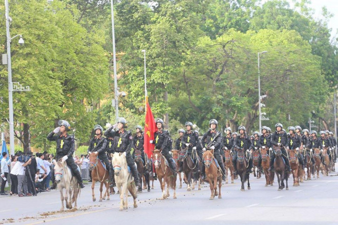 Đoàn Cảnh sát cơ động Kỵ binh: Giống ngựa kỵ binh sức khoẻ tốt, ngoại hình phù hợp - 1