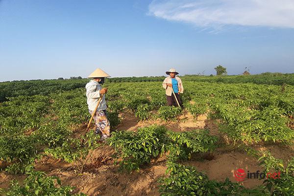 Người dân dựng cầu khỉ, "dàn trận ngọn tre" giữa sông, cát tặc khóc ròng - 2