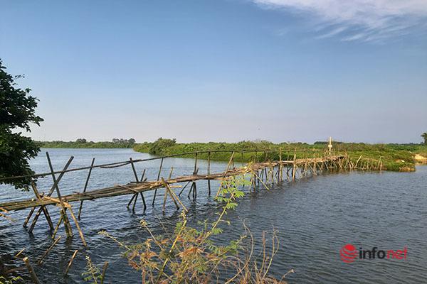Người dân dựng cầu khỉ, "dàn trận ngọn tre" giữa sông, cát tặc khóc ròng - 3