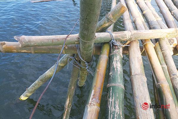 Người dân dựng cầu khỉ, "dàn trận ngọn tre" giữa sông, cát tặc khóc ròng - 4