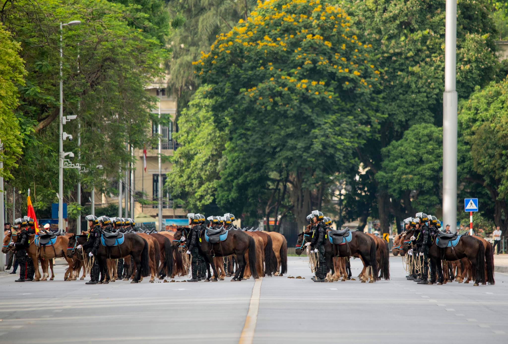 Người dân thích thú xem CSCĐ Kỵ binh diễu hành trước tòa nhà Quốc hội - 14