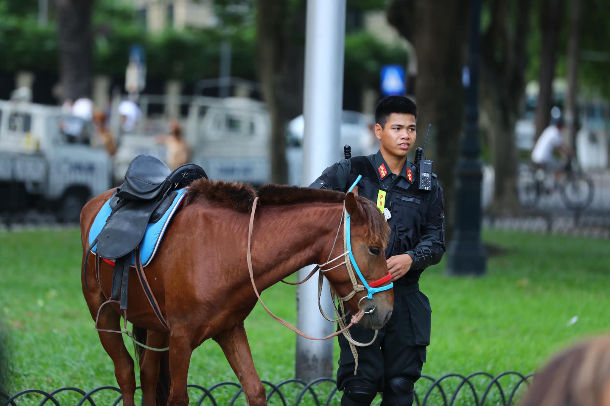 Người dân thích thú xem CSCĐ Kỵ binh diễu hành trước tòa nhà Quốc hội - 5