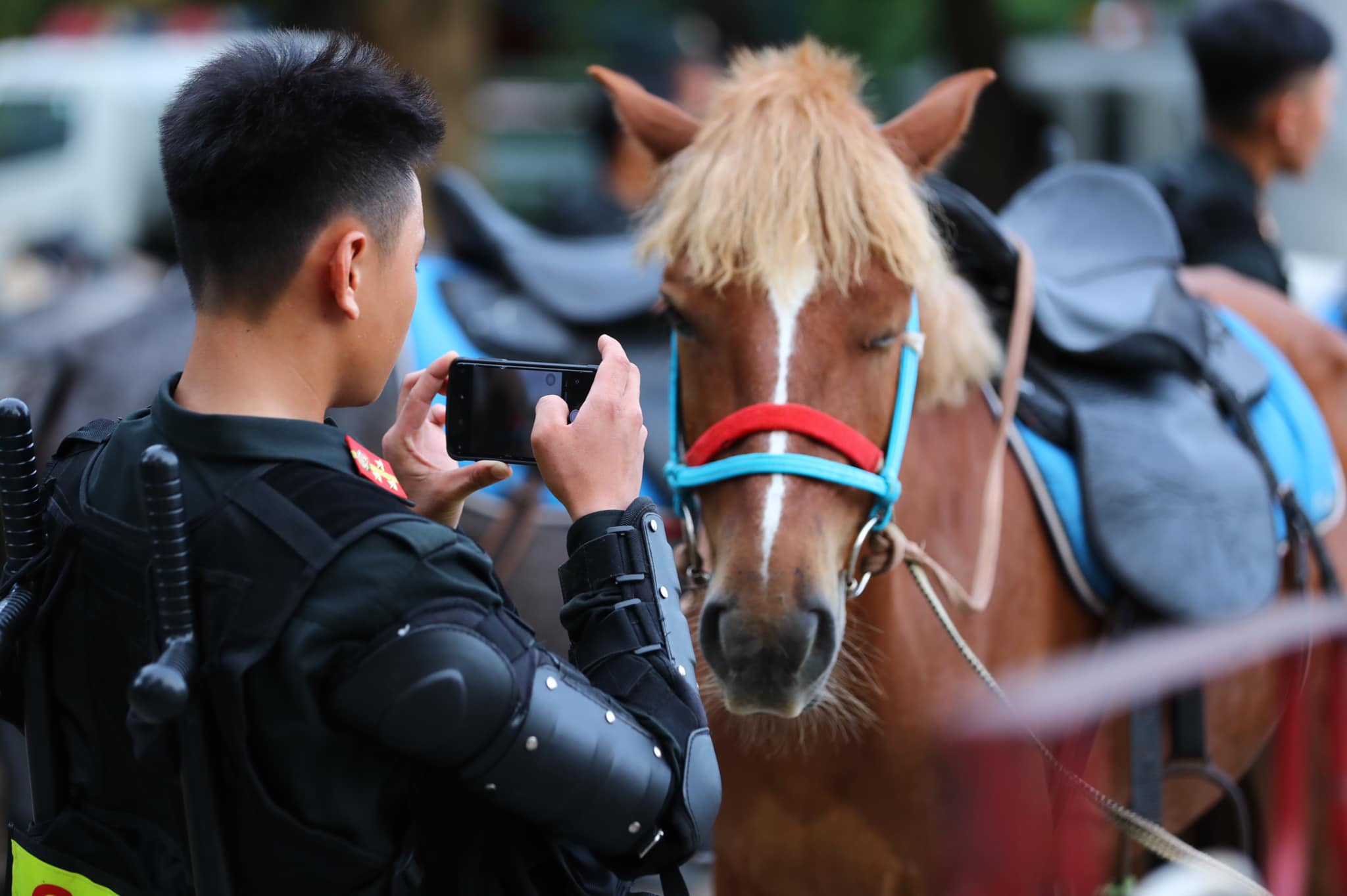 Người dân thích thú xem CSCĐ Kỵ binh diễu hành trước tòa nhà Quốc hội - 7