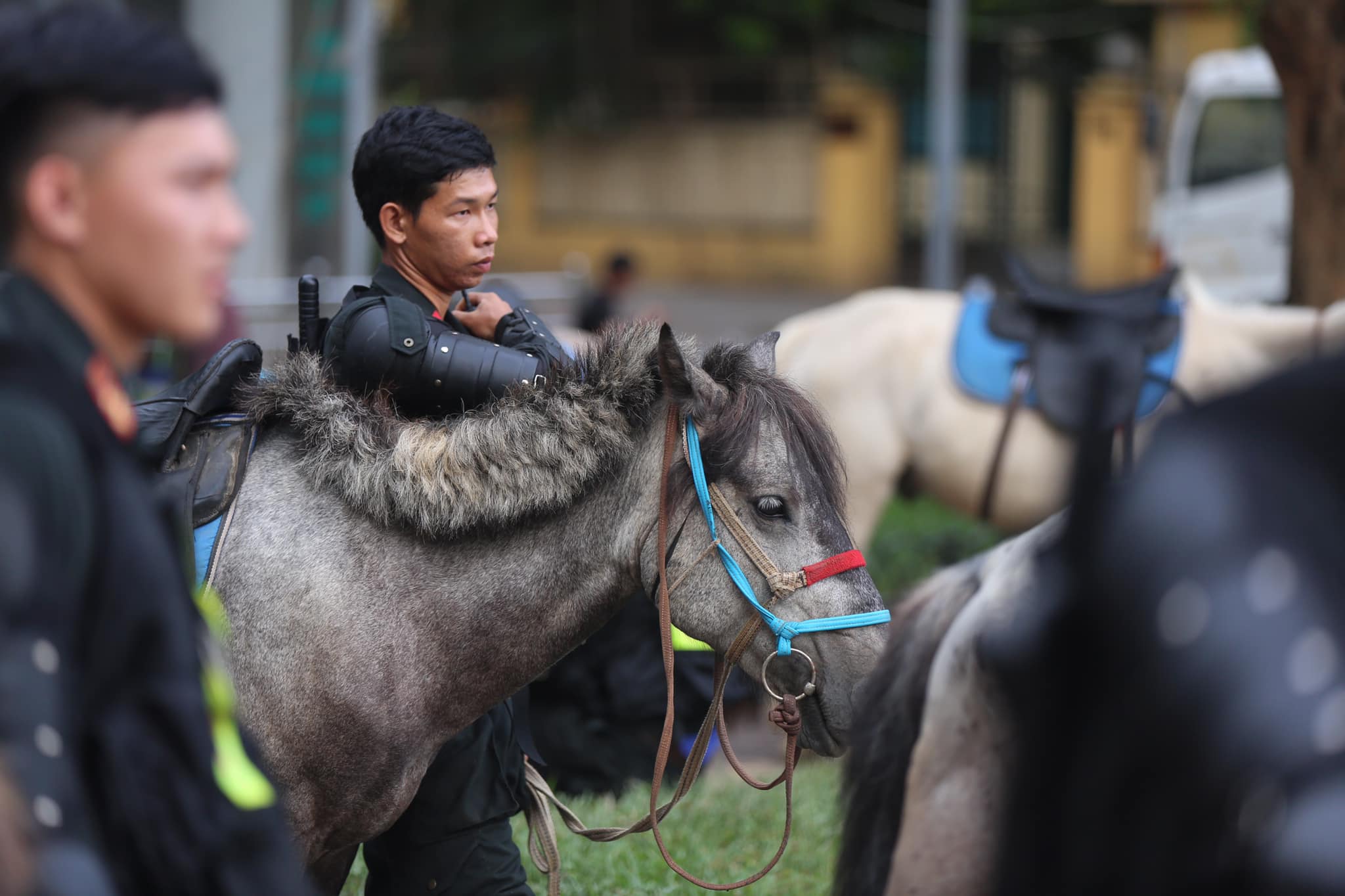 Người dân thích thú xem CSCĐ Kỵ binh diễu hành trước tòa nhà Quốc hội - 2