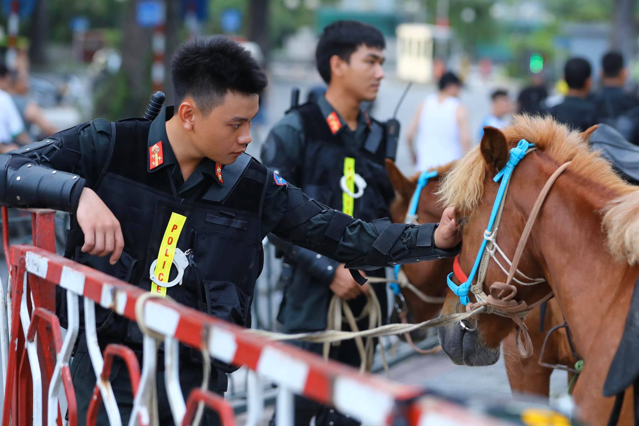 Người dân thích thú xem CSCĐ Kỵ binh diễu hành trước tòa nhà Quốc hội - 3