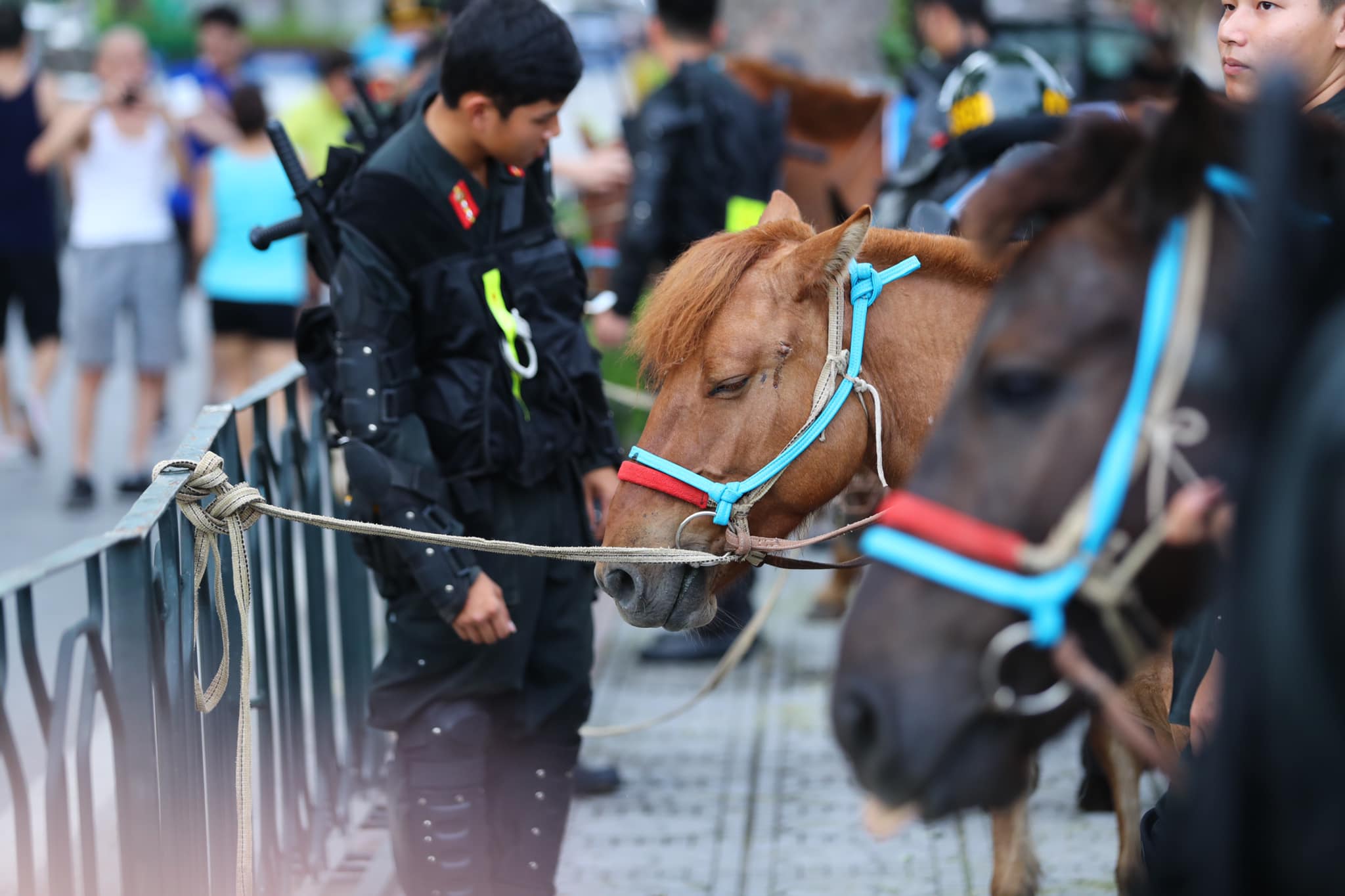 Người dân thích thú xem CSCĐ Kỵ binh diễu hành trước tòa nhà Quốc hội - 4