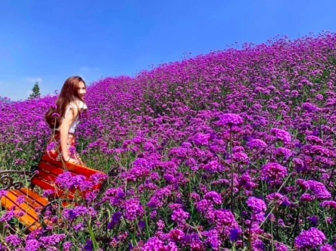 Tin tức 24h qua: Sức sống mãnh liệt của bé sơ sinh bị bỏ rơi 3 ngày trong hố gas giữa trời nắng nóng 40 độ C - 3