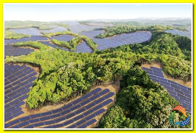 Việt Nam Solar mở ra kỷ nguyên mới với giải pháp điện mặt trời cho nông nghiệp - 1