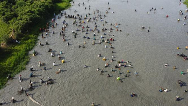 Sau tiếng hô lớn, hàng trăm người dân nhào xuống Đầm Vực bắt cá - 4