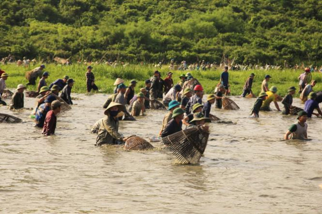 Sau tiếng hô lớn, hàng trăm người dân nhào xuống Đầm Vực bắt cá - 3