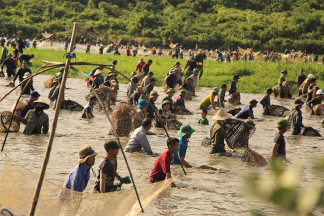 Sau tiếng hô lớn, hàng trăm người dân nhào xuống Đầm Vực bắt cá - 5