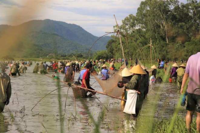 Sau tiếng hô lớn, hàng trăm người dân nhào xuống Đầm Vực bắt cá - 10