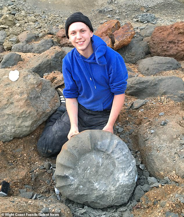 Dạo biển, 2 sinh viên kéo được sinh vật lạ khỏi &#34;mộ đá&#34; 115 triệu năm - 1