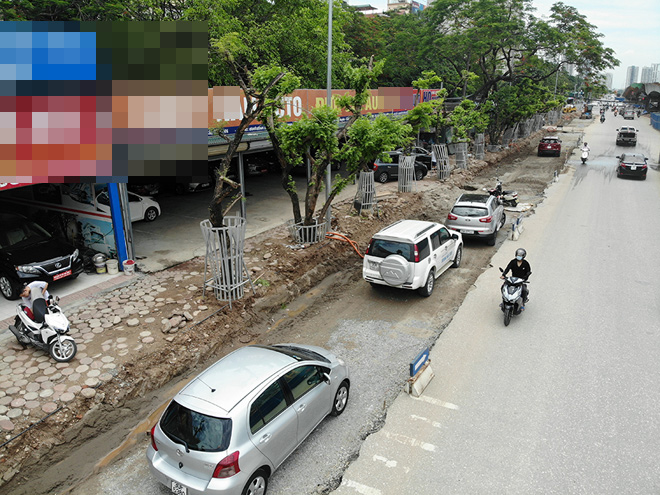 Hà Nội mặc “áo giáp sắt”, lắp camera bảo vệ hàng cây quý có giá đắt đỏ - 1