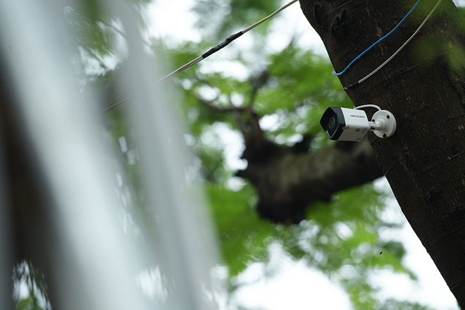 Hà Nội mặc “áo giáp sắt”, lắp camera bảo vệ hàng cây quý có giá đắt đỏ - 10