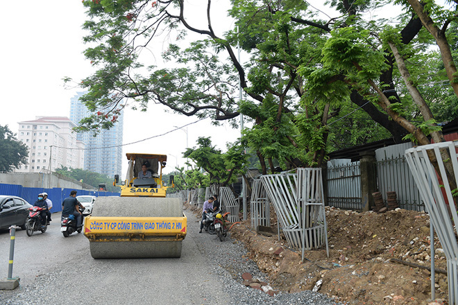 Hà Nội mặc “áo giáp sắt”, lắp camera bảo vệ hàng cây quý có giá đắt đỏ - 12