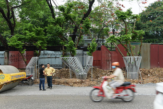 Hà Nội mặc “áo giáp sắt”, lắp camera bảo vệ hàng cây quý có giá đắt đỏ - 3