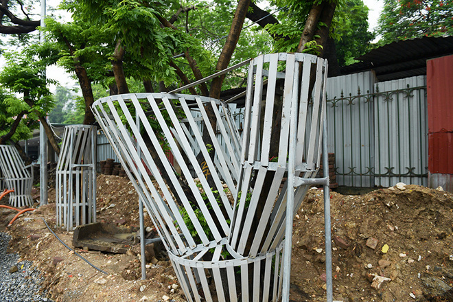 Hà Nội mặc “áo giáp sắt”, lắp camera bảo vệ hàng cây quý có giá đắt đỏ - 7