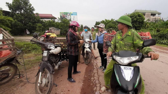 Video: Cận cảnh người trồng vải Bắc Giang bị thương lái ép giá, trừ lùi cân - 1
