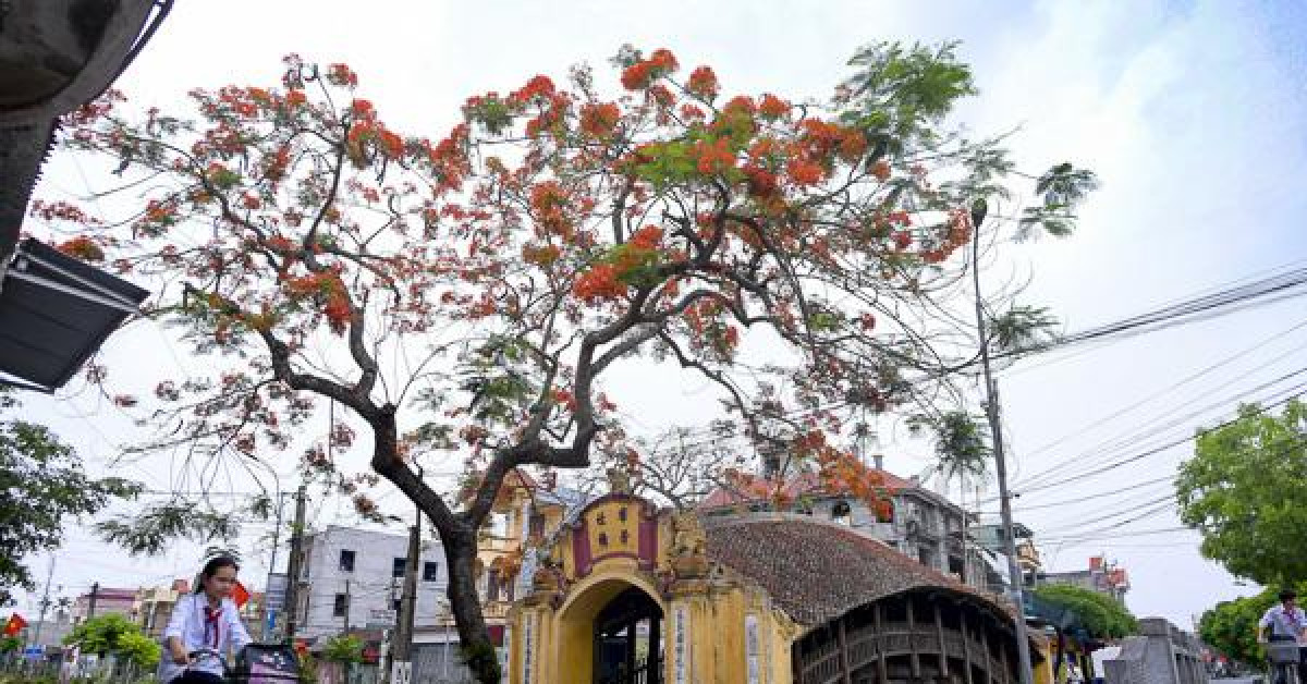 Tận mục cầu Ngói 500 năm tuổi đẹp nhất miền Bắc - 9