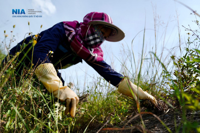 "Đột nhập" khu bay Nội Bài trong cái nắng nóng cực điểm hơn 62 độ C - 17