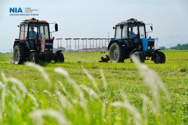 "Đột nhập" khu bay Nội Bài trong cái nắng nóng cực điểm hơn 62 độ C - 23