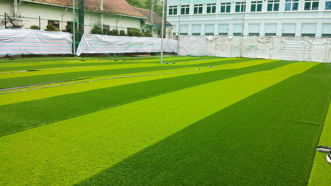 Cỏ nhân tạo - giải pháp hoàn hảo cho sân bóng đá và khu vườn xanh - 1