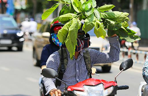 Bắc Bộ ngột ngạt trong nắng nóng, miền Trung có nơi trên 40 độ - 1