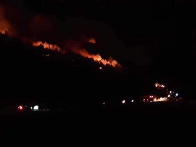 Hàng nghìn người trắng đêm dập lửa cứu rừng Nghệ An, Hà Tĩnh - 3